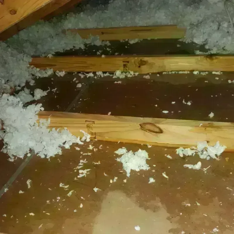 Attic Water Damage in Pinedale, WY