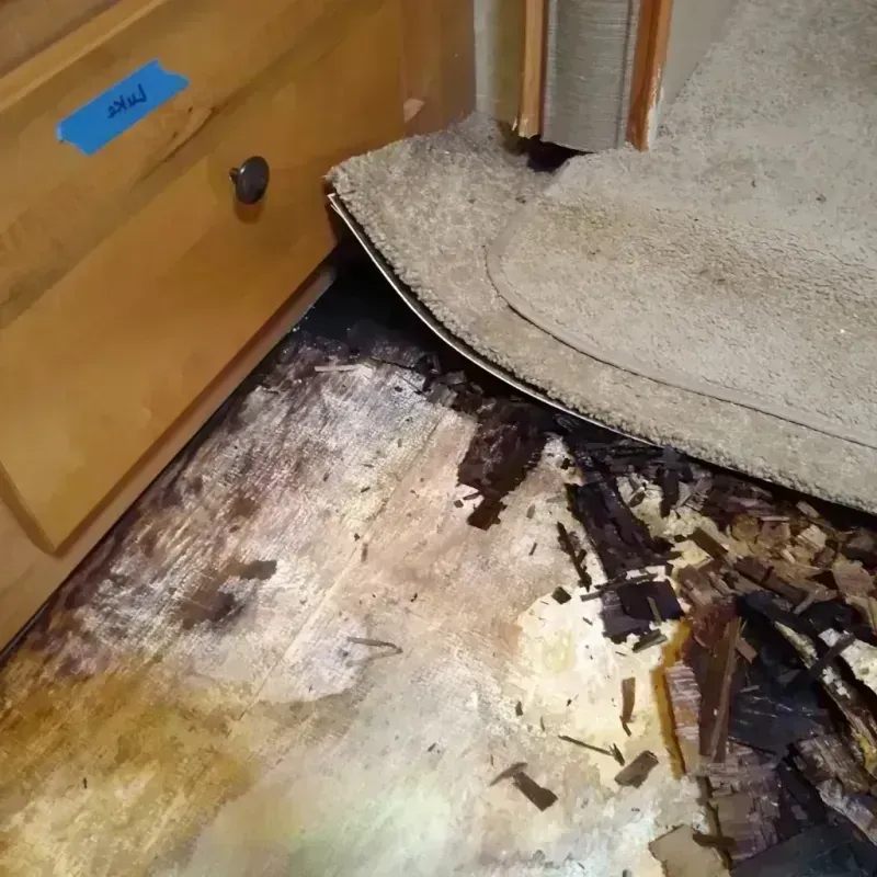 Wood Floor Water Damage in Pinedale, WY